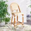 SAFAVIEH Outdoor Patio Furniture California Navy & White Faux Wicker 25-inch Seat Height Counter Stool (Fully Assembled)(Natural)