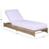 SAFAVIEH Outdoor Patio Furniture Collection – Callan Black Rope & White Cushion Lounger, Fully Assembled Outdoor Chaise, Modern Low-Profile Design (PAT7546B)(Tan/White)