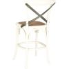 Safavieh American Homes Collection Eleanor Ivory 30.7-inch Counter Stool(Antique White)
