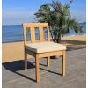 Safavieh Couture Patio Montford Natural Teak Dining Chair, Set of 2(Natural/Beige)