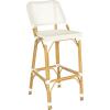 Safavieh Home Collection Deltana Beige Indoor/ Outdoor Barstool(Beige)