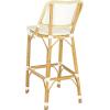 Safavieh Home Collection Deltana Beige Indoor/ Outdoor Barstool(Beige)