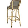 Safavieh Home Collection Deltana Beige Indoor/ Outdoor Barstool(Brown)