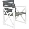 Safavieh Home Collection Irina Outdoor Arm Chair, White and Grey, Set of 2(White / Grey)
