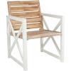 Safavieh Home Collection Irina Outdoor Arm Chair, White and Grey, Set of 2(White / Oak)