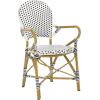 Safavieh Home Hooper Navy and White Indoor/Outdoor Rattan Stacking Arm Chair, Set of 2(Black / White)