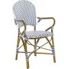 Safavieh Home Hooper Navy and White Indoor/Outdoor Rattan Stacking Arm Chair, Set of 2(Blue / White)
