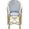 Safavieh Home Hooper Navy and White Indoor/Outdoor Rattan Stacking Arm Chair, Set of 2(Blue / White)