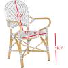 Safavieh Home Hooper Navy and White Indoor/Outdoor Rattan Stacking Arm Chair, Set of 2(Grey / White)