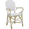 Safavieh Home Hooper Navy and White Indoor/Outdoor Rattan Stacking Arm Chair, Set of 2(Grey / White)