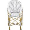 Safavieh Home Hooper Navy and White Indoor/Outdoor Rattan Stacking Arm Chair, Set of 2(Grey / White)