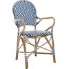 Safavieh Home Hooper Navy and White Indoor/Outdoor Rattan Stacking Arm Chair, Set of 2(Navy / White)