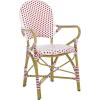 Safavieh Home Hooper Navy and White Indoor/Outdoor Rattan Stacking Arm Chair, Set of 2(Red / White)
