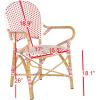 Safavieh Home Hooper Navy and White Indoor/Outdoor Rattan Stacking Arm Chair, Set of 2(Red / White)
