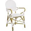 Safavieh Home Hooper Navy and White Indoor/Outdoor Rattan Stacking Arm Chair, Set of 2(White)