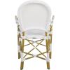 Safavieh Home Hooper Navy and White Indoor/Outdoor Rattan Stacking Arm Chair, Set of 2(White)