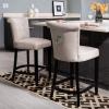 Safavieh Hudson Collection Addo Ring Counter Stool, Charcoal(Beige)