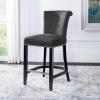 Safavieh Hudson Collection Addo Ring Counter Stool, Charcoal(Charcoal)