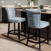 Safavieh Hudson Collection Addo Ring Counter Stool, Charcoal(Sky Blue)