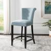 Safavieh Hudson Collection Addo Ring Counter Stool, Charcoal(Sky Blue)