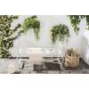 Safavieh Outdoor Collection Brielle Victorian Antique Blue Bench(Antique White)