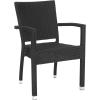 Safavieh Outdoor Living Collection Kelda Wicker Arm Chairs(Black)