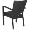Safavieh Outdoor Living Collection Kelda Wicker Arm Chairs(Black)