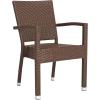 Safavieh Outdoor Living Collection Kelda Wicker Arm Chairs(Brown)
