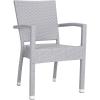 Safavieh Outdoor Living Collection Kelda Wicker Arm Chairs(Grey)