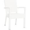 Safavieh Outdoor Living Collection Kelda Wicker Arm Chairs(White)