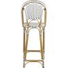 Safavieh PAT4038C Outdoor Collection Zaid White Stackable 30-inch Bar Stool(Black/White)
