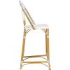 Safavieh PAT4038C Outdoor Collection Zaid White Stackable 30-inch Bar Stool(Grey / White)