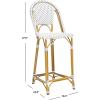 Safavieh PAT4038C Outdoor Collection Zaid White Stackable 30-inch Bar Stool(Grey / White)