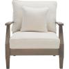 SAFAVIEH Couture Outdoor Collection Martinique Natural/Dark Brown Cushion Solid Wood Patio Arm Chair(Light Grey/Beige)