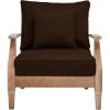 SAFAVIEH Couture Outdoor Collection Martinique Natural/Dark Brown Cushion Solid Wood Patio Arm Chair(Natural/Dark Brown)