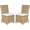 SAFAVIEH Home Collection Sebesi Soft Grey Rattan Side Chair with Cushion (Set of 2)