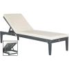 SAFAVIEH Outdoor Collection Arcata Natural Solid Wood/Beige Cushion Adjustable Chaise Lounge Chair (PAT6730A)(Ash Grey / Beige)