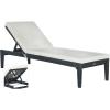 SAFAVIEH Outdoor Collection Azusa Ash Grey Solid Wood/Beige Cushion Adjustable Chaise Lounge Chair (PAT6729B)(Dark Slate Gray / Beige)