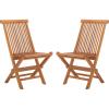 SAFAVIEH Outdoor Collection Holly Natural Solid Wood Teak Folding Chair (Fully Assembled)