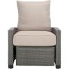 SAFAVIEH Outdoor Collection Landon Natural/White Patio Recliner Chair with Cushion(Grey/Light Grey)