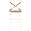 Safavieh American Homes Collection Eleanor Ivory 30.7-inch Counter Stool(Antique White)