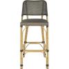 Safavieh Home Collection Deltana Beige Indoor/ Outdoor Barstool(Brown)