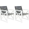 Safavieh Home Collection Irina Outdoor Arm Chair, White and Grey, Set of 2(White / Grey)