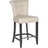 Safavieh Hudson Collection Addo Ring Counter Stool, Charcoal(Beige)