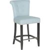 Safavieh Hudson Collection Addo Ring Counter Stool, Charcoal(Sky Blue)