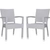 Safavieh Outdoor Living Collection Kelda Wicker Arm Chairs(Grey)