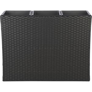 SAFAVIEH Outdoor Collection Rita Natural Woven Rectangular Flower Rack(Black)