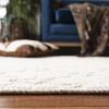 Martha Stewart x SAFAVIEH Area Rug Collection – 4′ x 6′, Ivory, Handmade Wool, Ideal for Living Room, Foyer, Bedroom, Accent Space (MSR3503A)(Ivory)