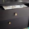 SAFAVIEH Couture Home Collection Adelyn Walnut & Gold 2-Drawer Nightstand Table, Fully Assembled (SFV7209A)(Charcoal / Gold)