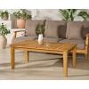 SAFAVIEH Couture Patio Martinique Natural Wood Outdoor Coffee Table(Natural Teak)